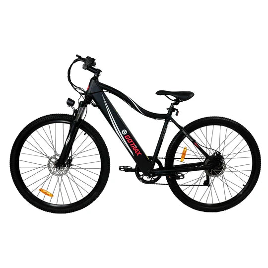 ALPHA XL ELECTRIC BIKE