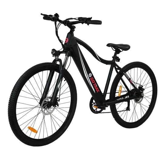 ALPHA XL ELECTRIC BIKE