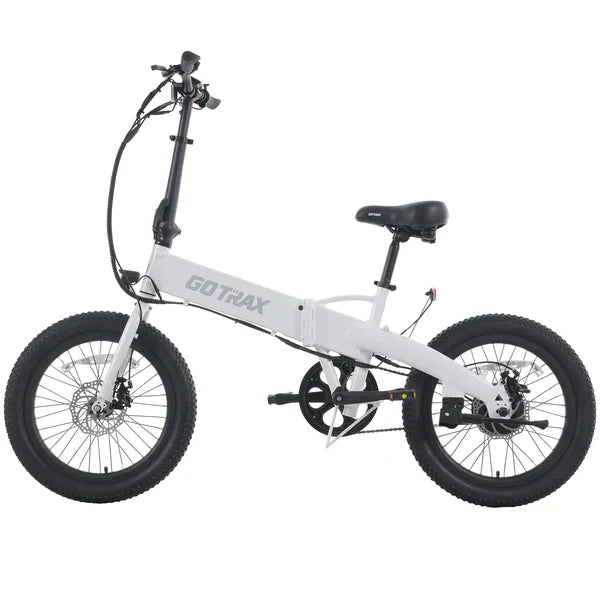 F1 Electric Bike Version 2.0