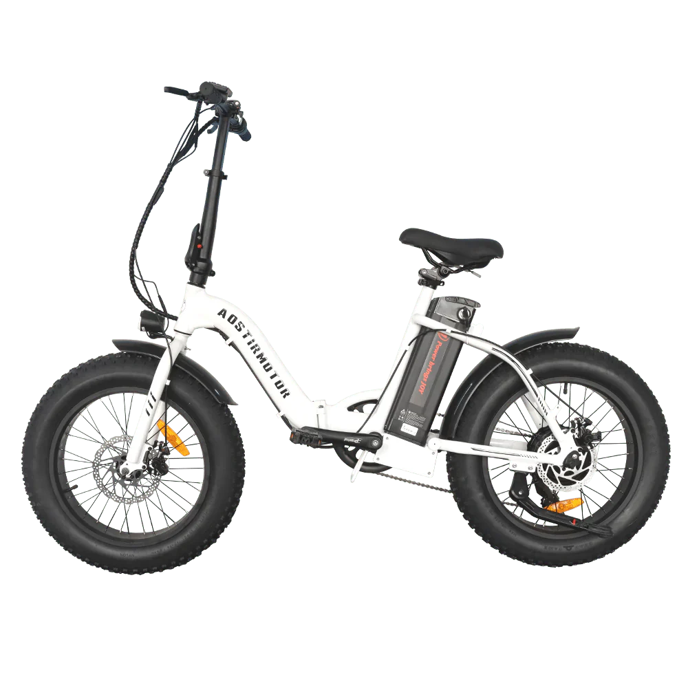 500W Low Step Fat Tire G20