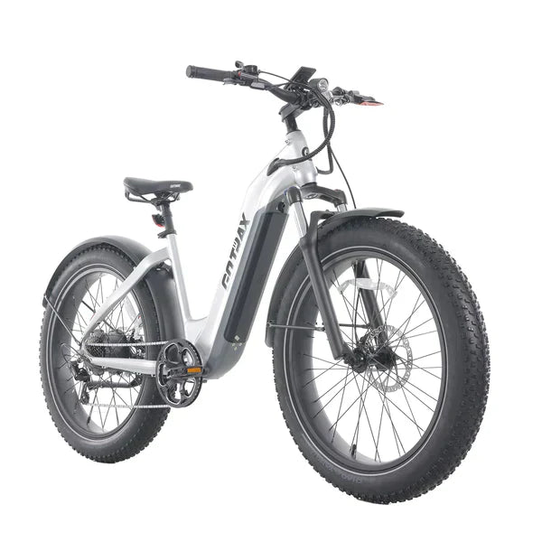 Tundra Electric Bike